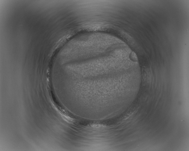 X0000054360590200508121516