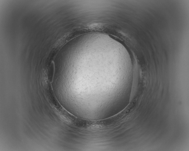 X0000054360593200508121516