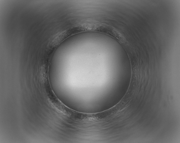 X0000054360594200508121516