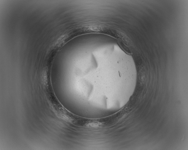 X0000054360595200508121516