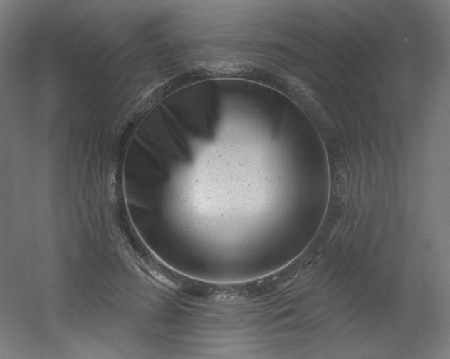 X0000054360596200508121516