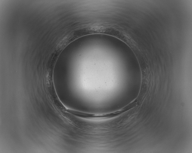 X0000054360597200508121516