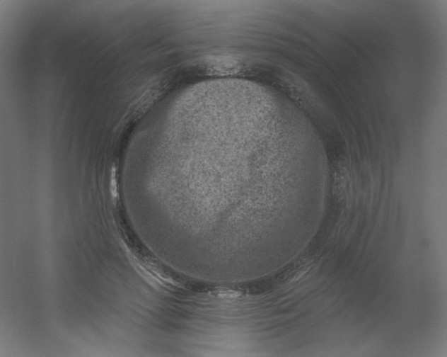 X0000054360598200508121516
