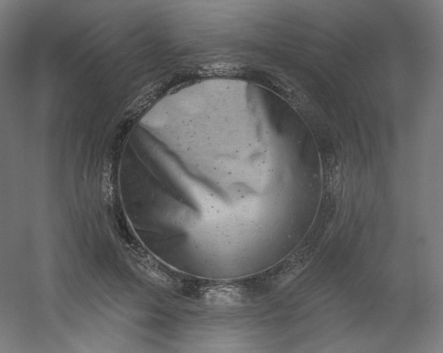 X0000054360599200508121516