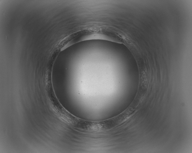 X0000054360600200508121516