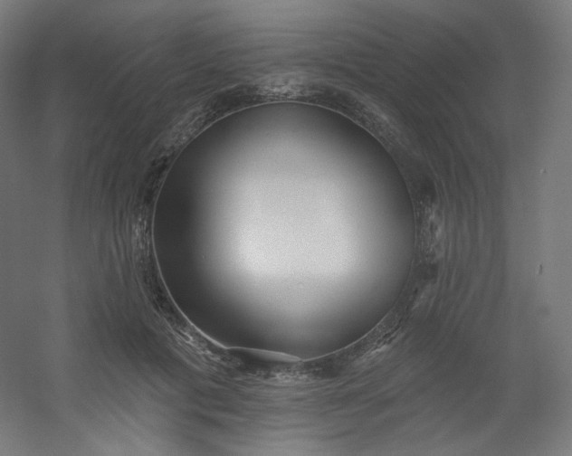 X0000054360601200508121516