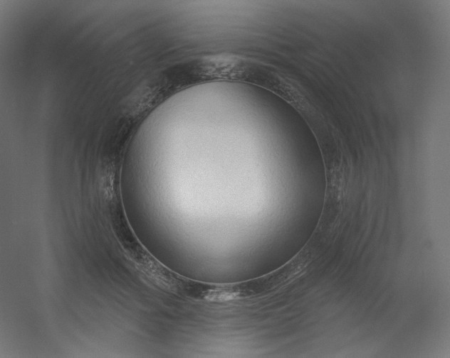 X0000054360602200508121516