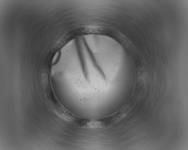 X0000054360603200508121516