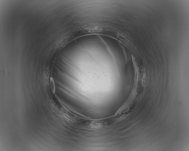 X0000054360604200508121516