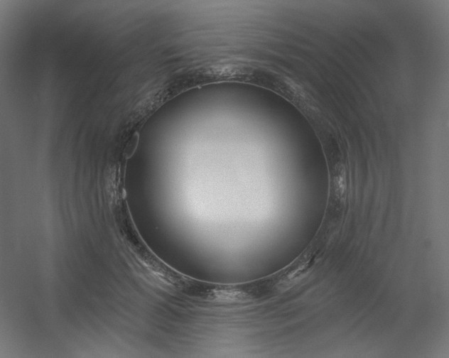 X0000054360605200508121516