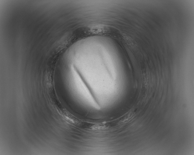 X0000054360606200508121516