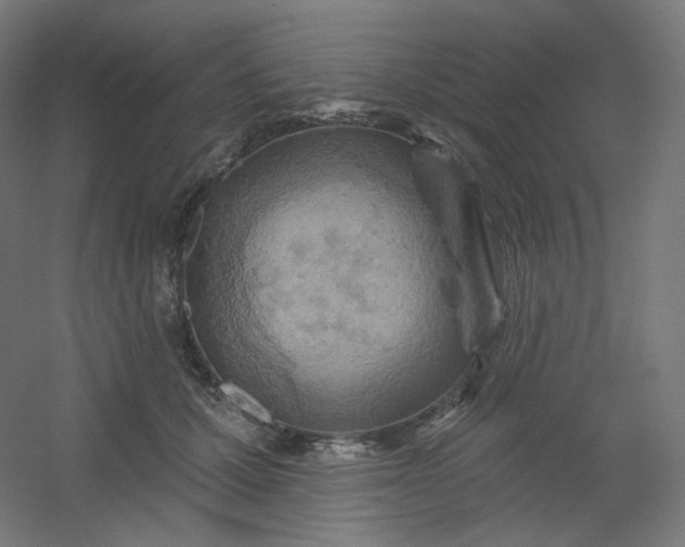 X0000054360607200508121516