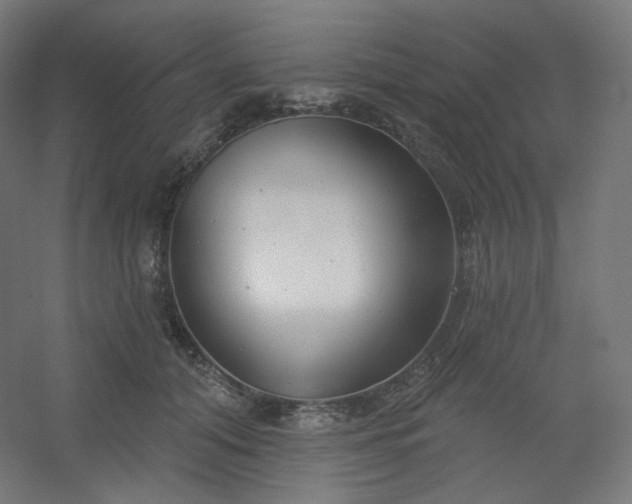 X0000054360608200508121516