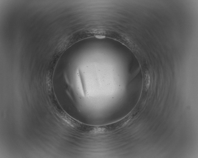 X0000054360609200508121516