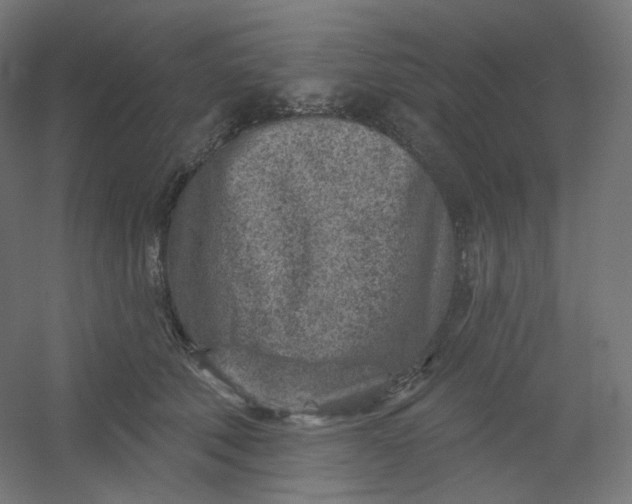 X0000054360610200508121516