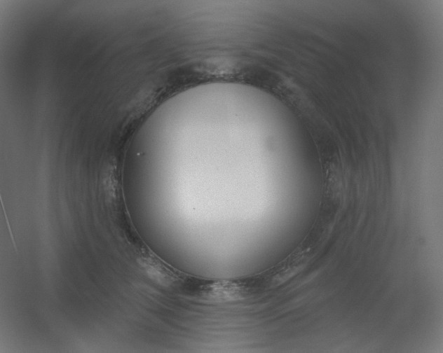 X0000054360612200508121516