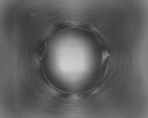 X0000054360613200508121516