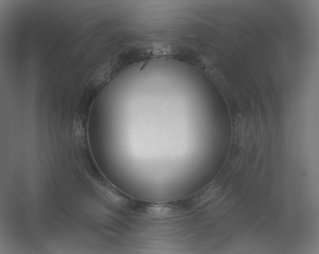 X0000054360614200508121516