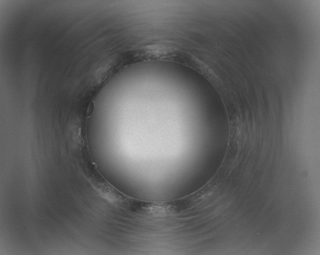 X0000054360615200508121516