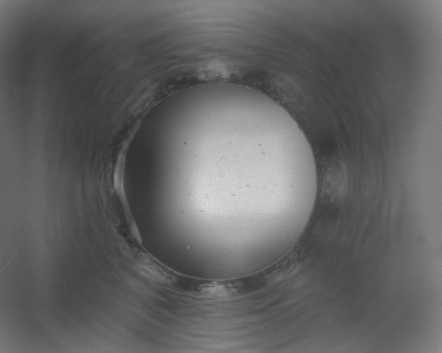 X0000054360616200508121516