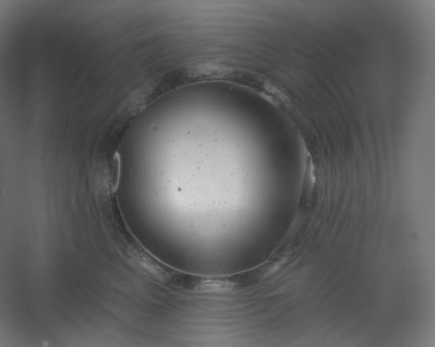 X0000054360617200508121516
