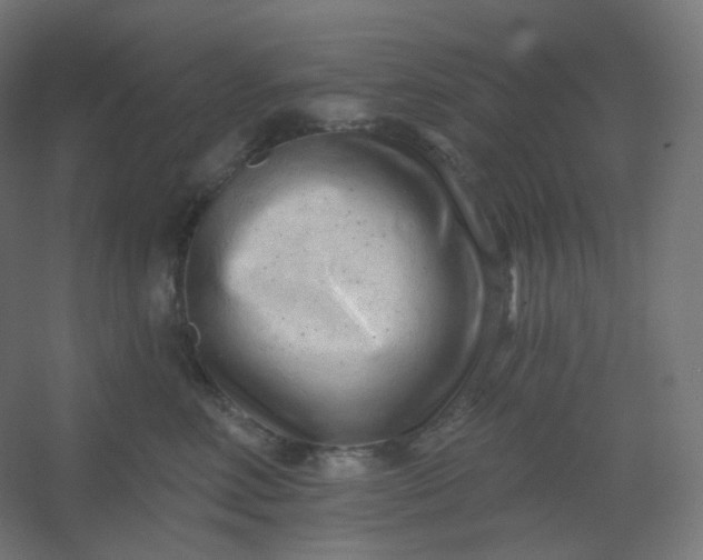 X0000054360618200508121516