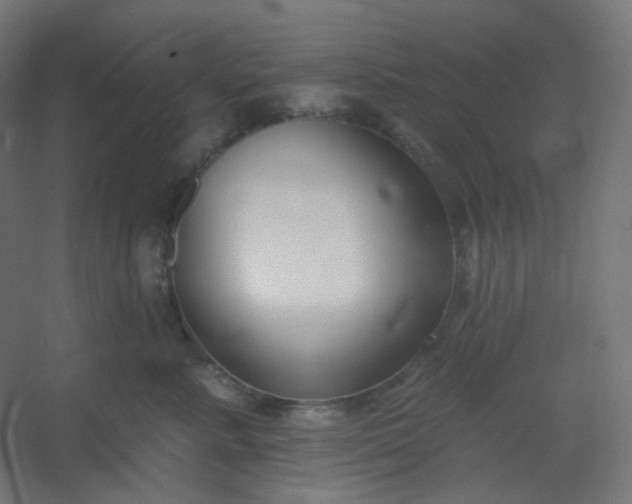 X0000054360619200508121516