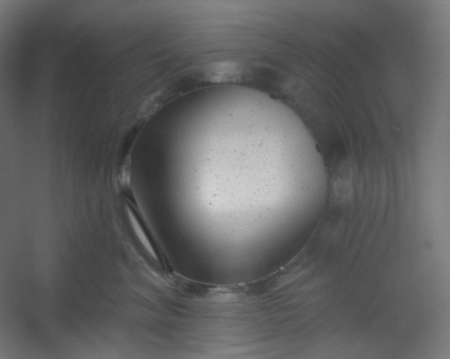 X0000054360620200508121516