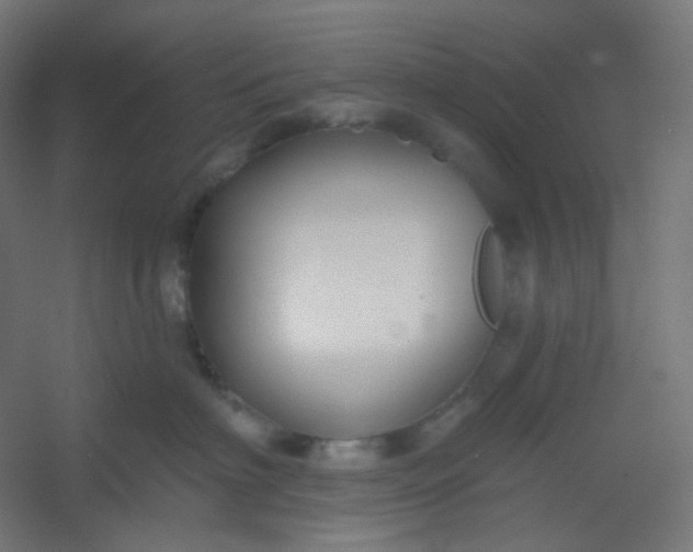 X0000054360622200508121516