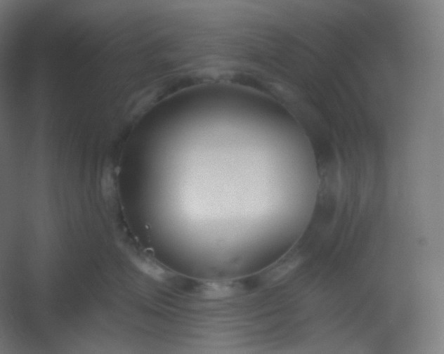 X0000054360623200508121515