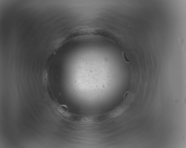 X0000054360624200508121515