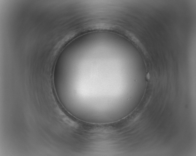 X0000054360625200508121515