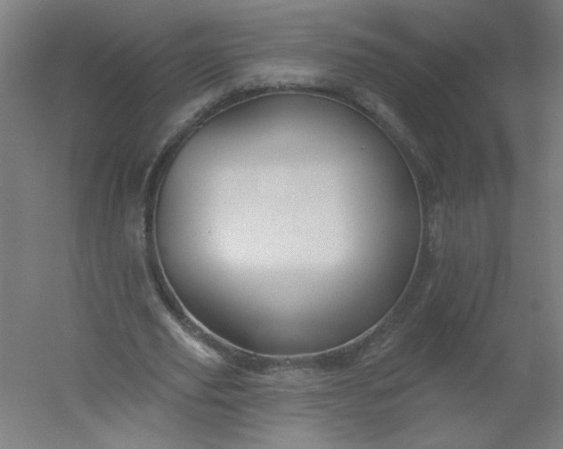 X0000054360629200508121515