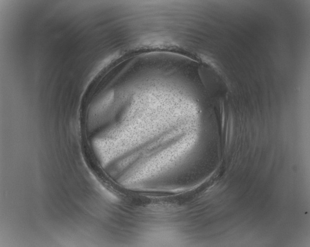 X0000054360630200508121515