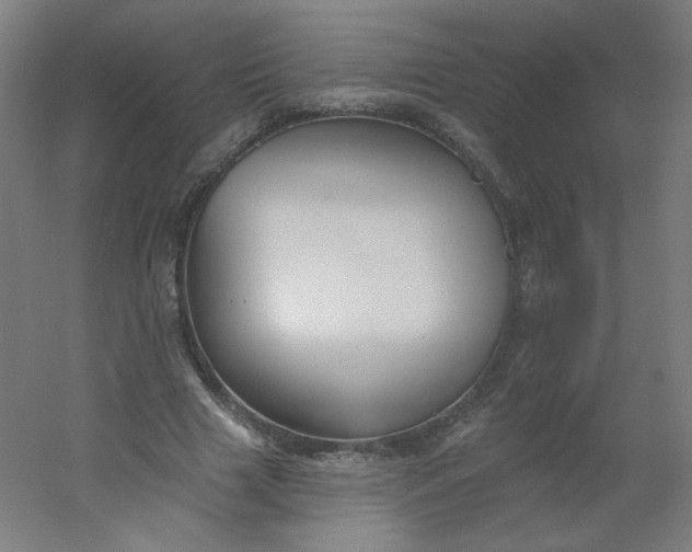 X0000054360633200508121515