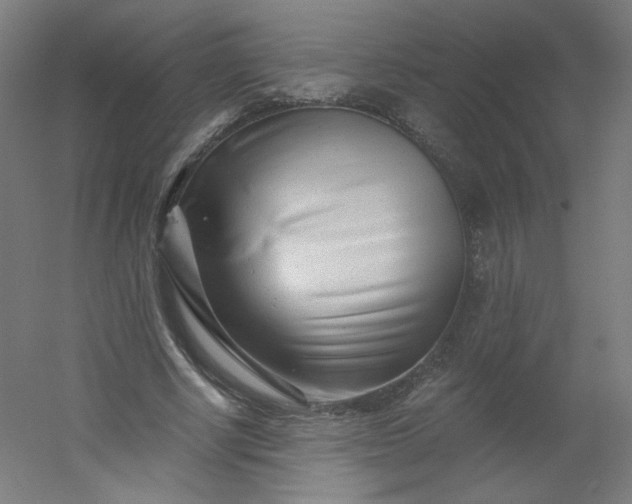 X0000054360634200508121515