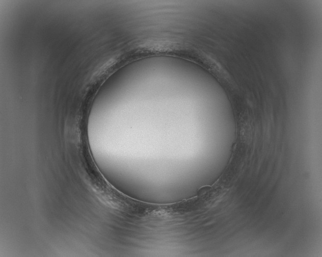 X0000054360635200508121515