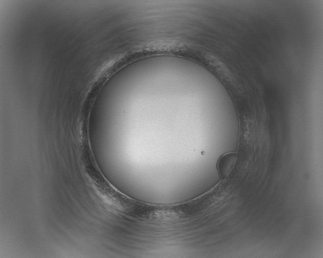 X0000054360636200508121515