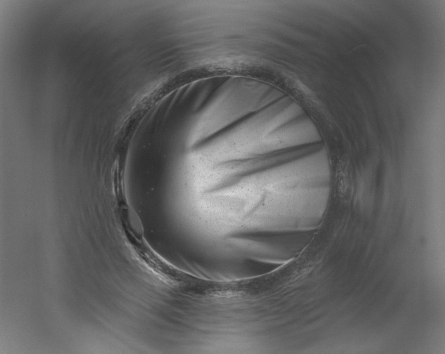 X0000054360637200508121515