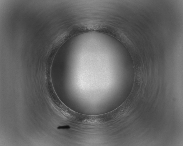 X0000054360639200508121515