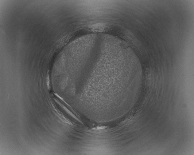 X0000054360641200508121515