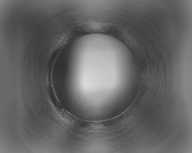 X0000054360642200508121515