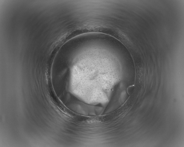 X0000054360644200508121515
