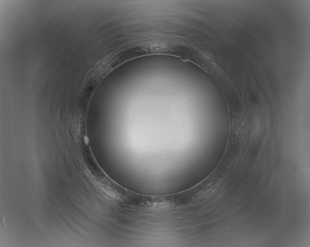 X0000054360645200508121515