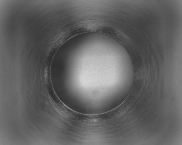 X0000054360646200508121515