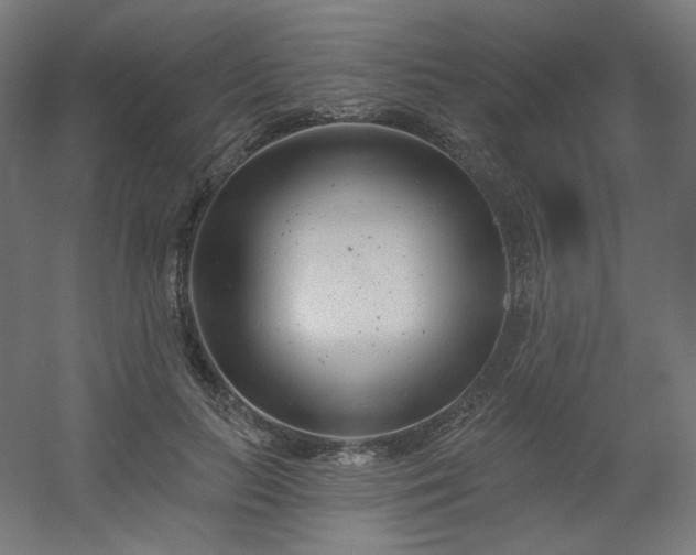 X0000054360647200508121515
