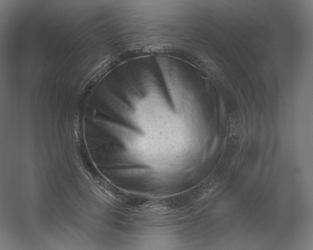X0000054360648200508121515
