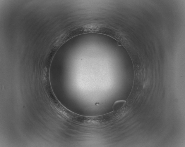 X0000054360649200508121515