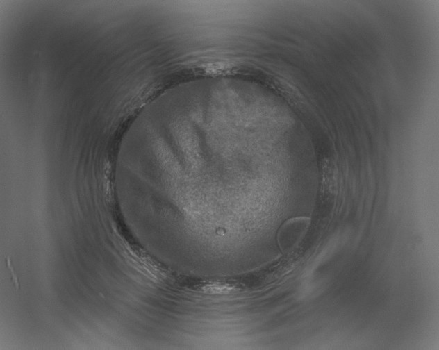 X0000054360650200508121515