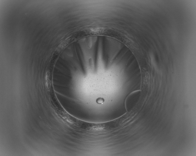 X0000054360651200508121515